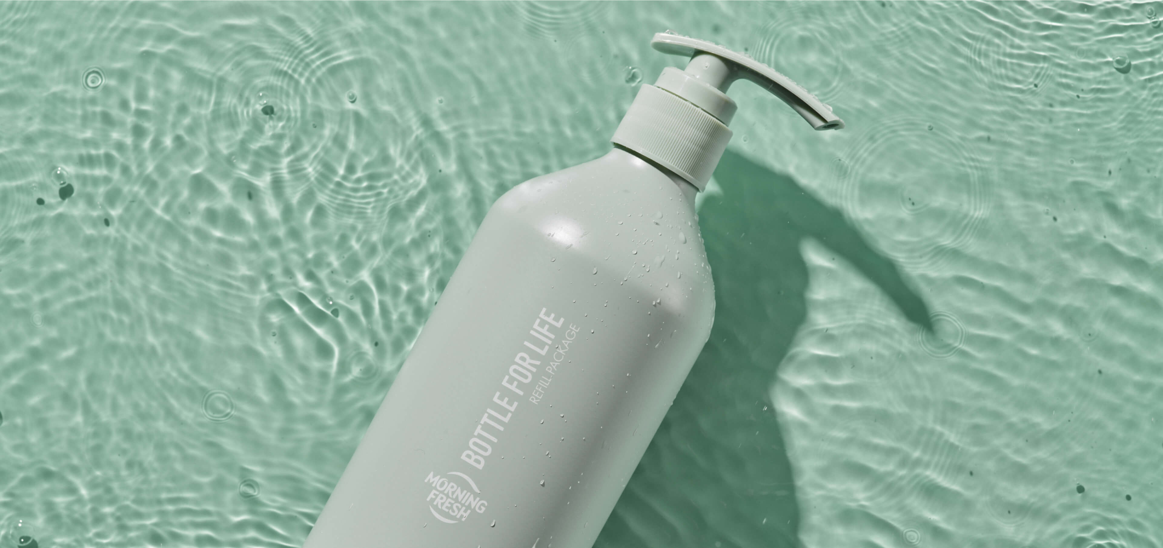 Image for this section